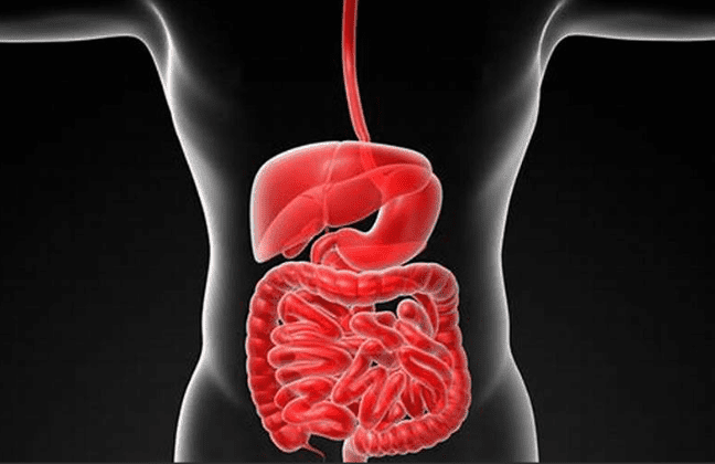 大腸癌前兆 大腸癌前兆