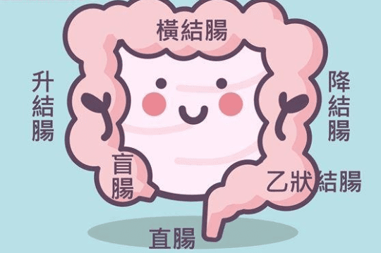 大腸癌症狀 大腸癌症狀